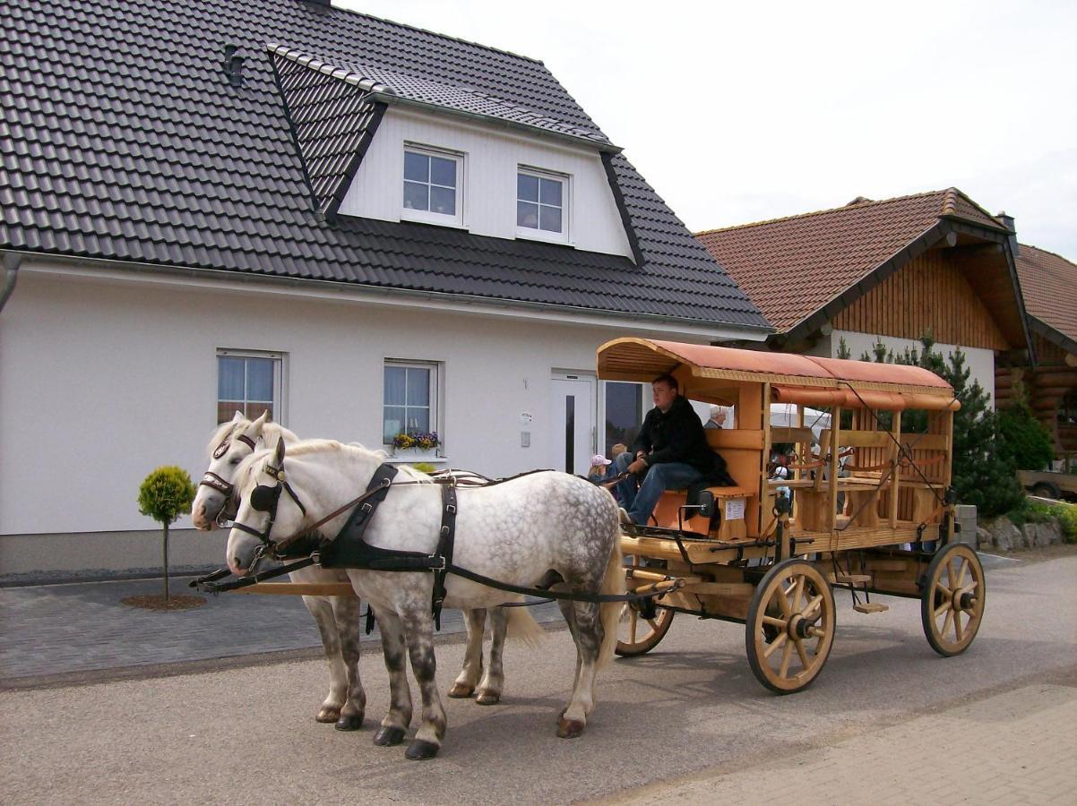 Gastehaus „Haus Am Hahnenberg“ Bed & Breakfast Marmagen Ngoại thất bức ảnh